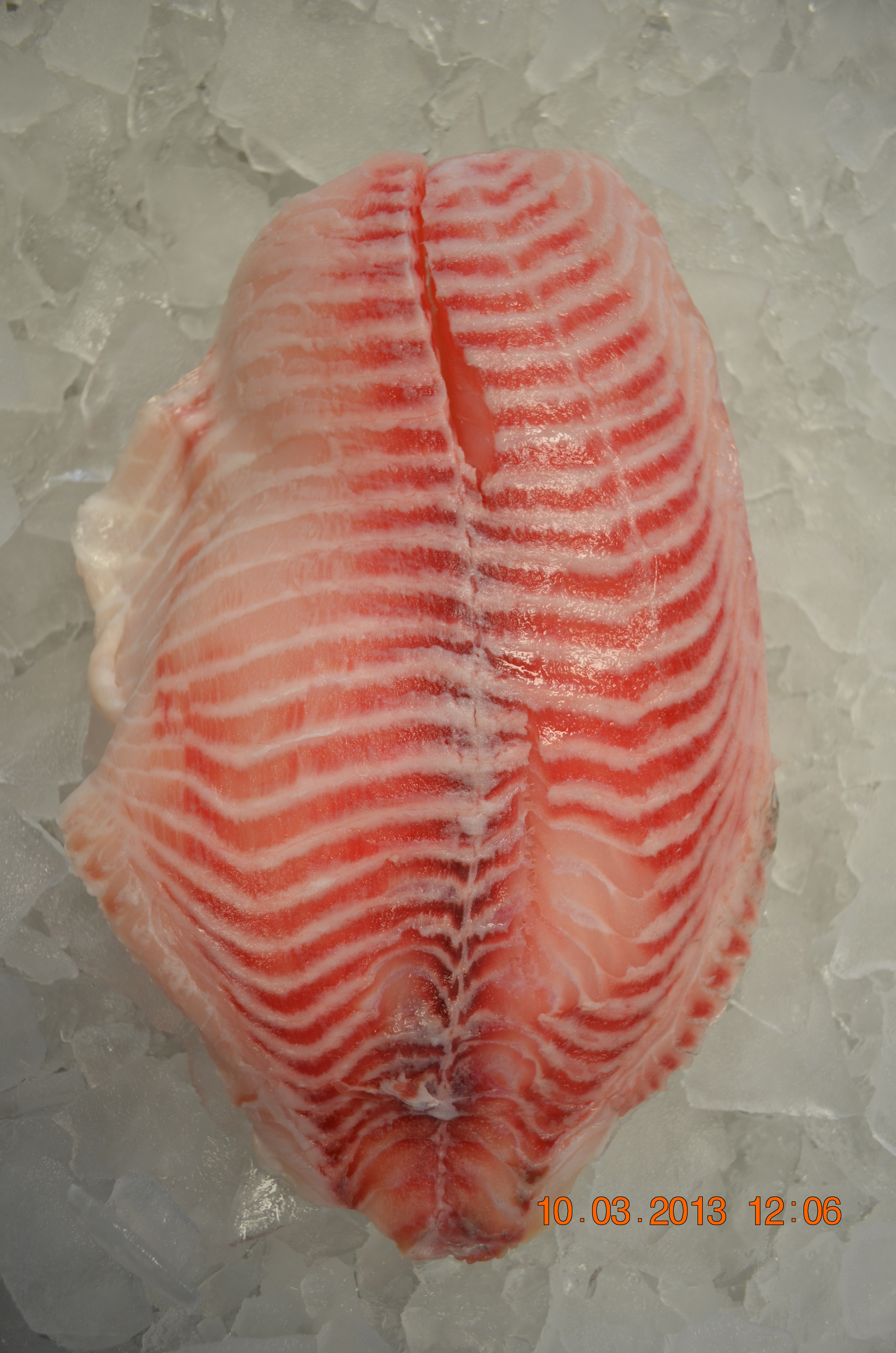 Snapper fillets ( Substitute fish) | Golden Seafood - Wholesale and retail
